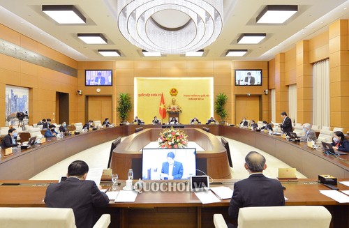 越南国会常委会向岘港市发展决议草案提供意见 - ảnh 1