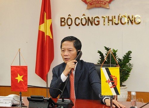越南与文莱为早日重启两国商业航线作出努力 - ảnh 1