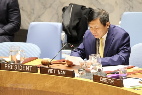 越南重申支持对哥伦比亚和平协议执行情况进行监督 - ảnh 1