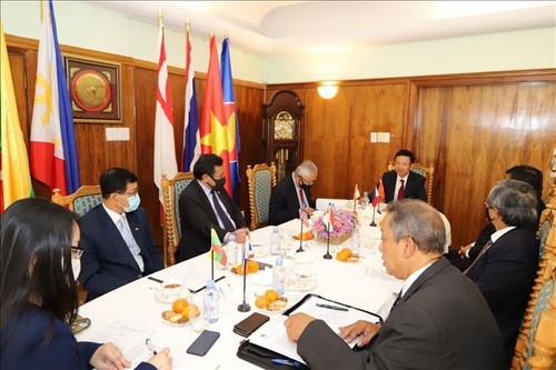 东盟各国驻南非大使肯定越南为东盟峰会的准备工作 - ảnh 1