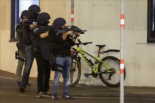 奥地利枪击案：“伊斯兰国”宣称负责 - ảnh 1