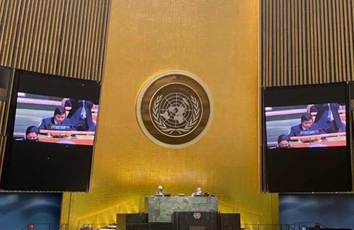 联合国大会通过由越南提出的第一项决议 - ảnh 1