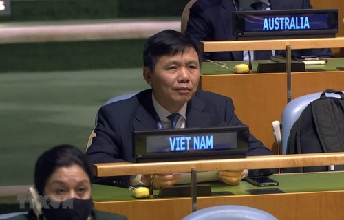 越南强调基于国际法解决所有争端 - ảnh 1
