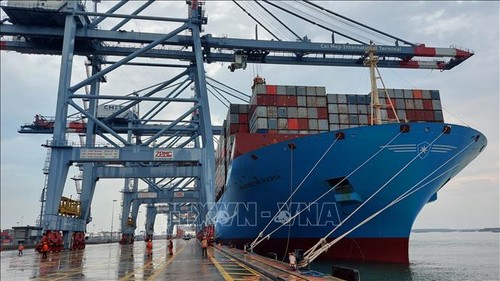 2021年前2个月越南各港口进出国际船舶数量同比下降6% - ảnh 1