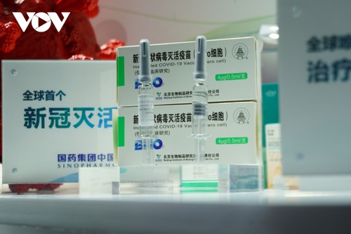中国开展史上最大规模疫苗接种 - ảnh 1