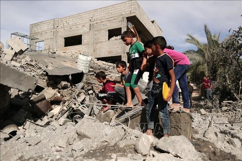 国际社会呼吁缓和加沙地带紧张局势  - ảnh 1