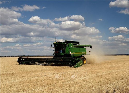 澳大利亚就中国对澳大利亚大麦征收高额关税一事向世界贸易组织提出申诉 - ảnh 1