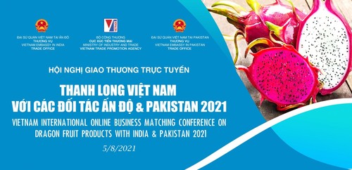 扩大在印度和巴基斯坦销售越南火龙果 - ảnh 1