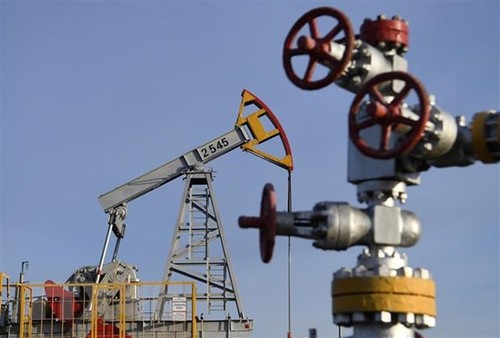 日本禁止进口俄罗斯超最高限价原油，但不包括“萨哈林2号”项目原油 - ảnh 1