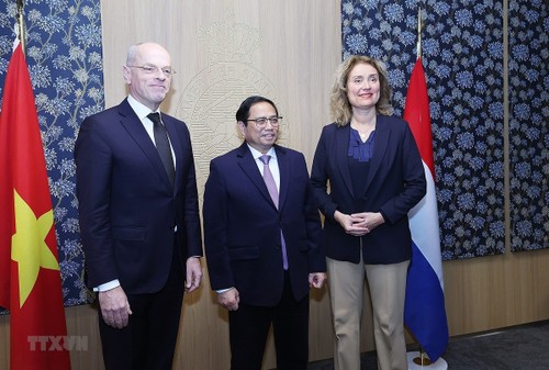 越南希望与荷兰在所有领域加强全面伙伴关系 - ảnh 1