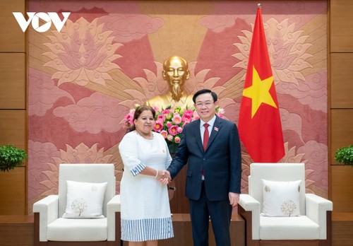 越南国会主席王庭惠会见古巴全国妇女联合会秘书长特蕾莎·阿马莱耶斯·布埃 - ảnh 1