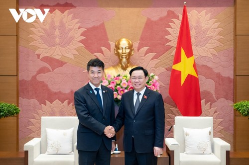 越南国会主席王庭惠会见日本立宪民主党代表泉健太 - ảnh 1