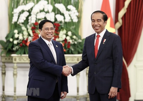 越南和印尼力争2028年将双边贸易额提升至150亿美元 - ảnh 1