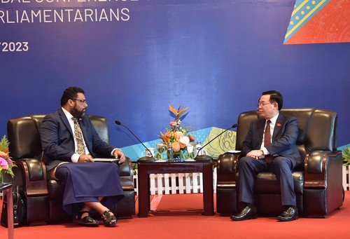 越南国会主席王庭惠会见汤加王国议长法卡法努阿 - ảnh 1
