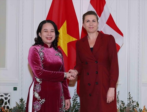 越南和丹麦加强经济、环境、气候、能源、绿色发展领域合作 - ảnh 1