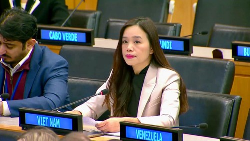越南强调《联合国宪章》的价值和原则是国际法的基础 - ảnh 1