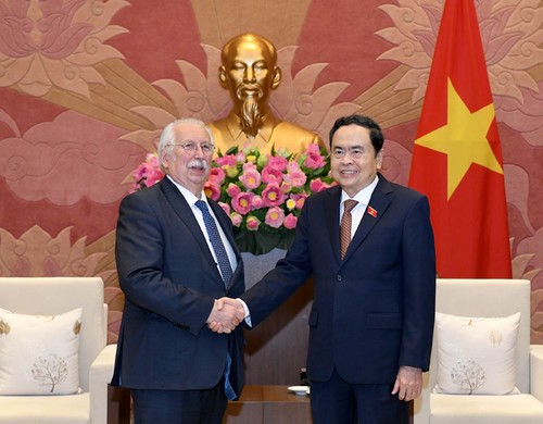 越南国会常务副主席陈青敏会见比利时众议院前议长安德烈•弗拉奥 - ảnh 1