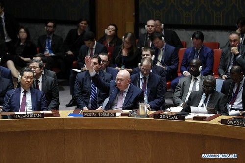  Veto russe à l’ONU à la prolongation des enquêtes internationales sur les armes chimiques en Syrie - ảnh 1