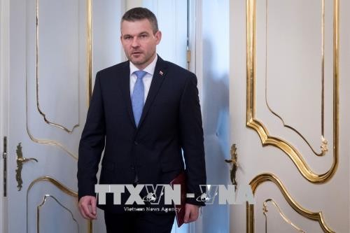  Slovaquie: le président approuve le nouveau gouvernement Pellegrini - ảnh 1