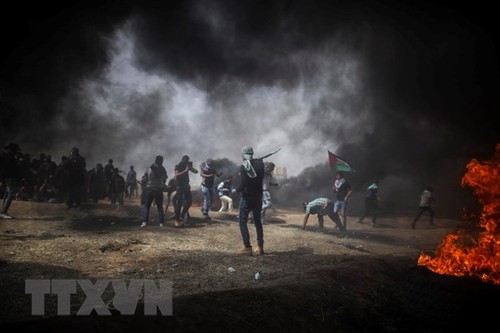 Gaza: au moins un tué et 460 blessés à la barrière de séparation avec Israël - ảnh 1
