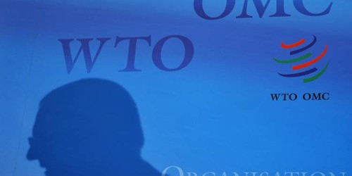 G20 Commerce: consensus sur la nécessité de réformer l'OMC - ảnh 1