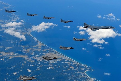 Les Etats-Unis et la République de Corée suspendent leurs exercices aériens conjoints - ảnh 1