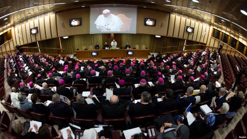 Vatican: début d'un sommet inédit sur la lutte contre la pédophilie  - ảnh 1