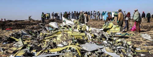 Crash d'un avion de ligne en Ethiopie: les deux boîtes noires ont été retrouvées - ảnh 1