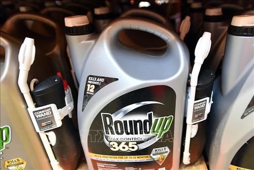 RoundUp et cancer : Monsanto condamné à payer 80 millions de dollars à un plaignant  - ảnh 1