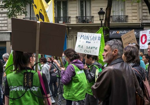 Des marches en France pour dénoncer les activités de Bayer-Monsanto - ảnh 1
