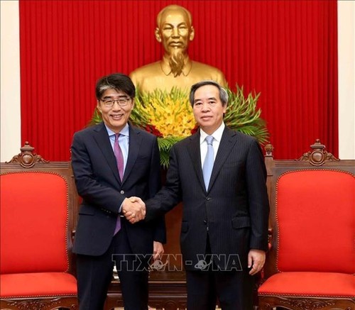 Promotion des relations de coopération efficace entre le Vietnam et l’OIT - ảnh 1