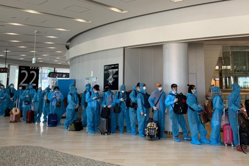 Coronavirus : plus de 350 citoyens vietnamiens rapatriés du Japon - ảnh 1