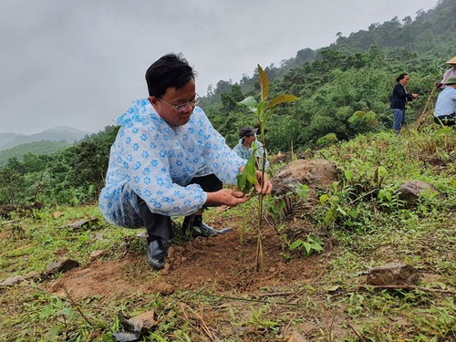 Restauration des forêts en amont du fleuve Gianh - ảnh 3