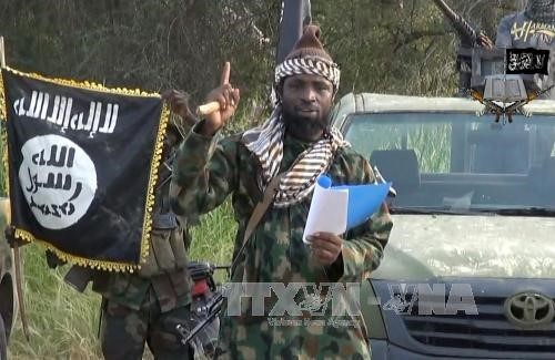 Nigeria: le chef de Boko Haram est mort - ảnh 1