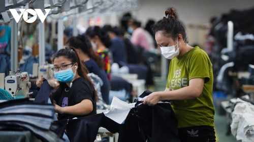 Les entreprises vietnamiennes se mettent au vert - ảnh 2