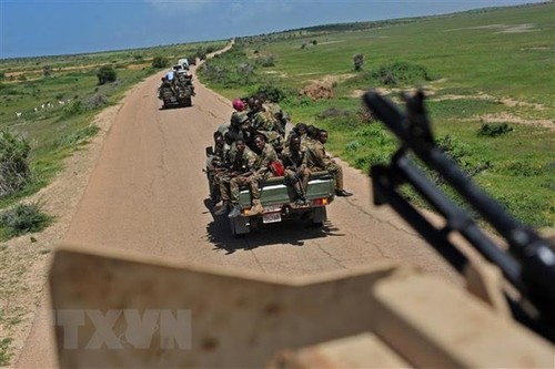 Les forces somaliennes tuent 88 militants d'al-Shabab - ảnh 1