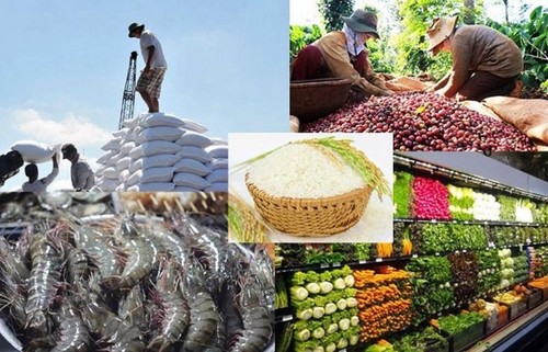 Baisse des exportations des produits agricoles, sylvicoles et aquatiques en janvier - ảnh 1