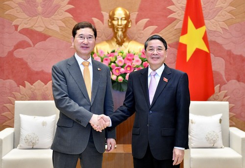 Renforcer la coopération parlementaire Vietnam - République de Corée - ảnh 1