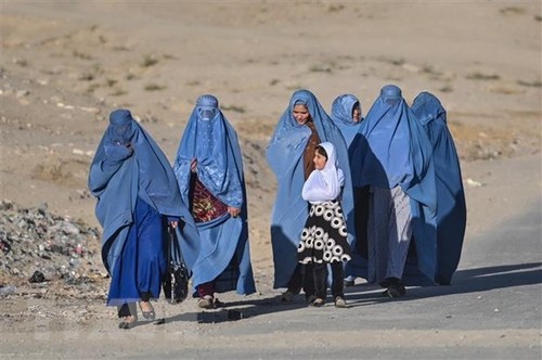 La cheffe d'ONU Femmes dénonce l'interdiction faite par les talibans aux Afghanes de travailler pour l'ONU - ảnh 1