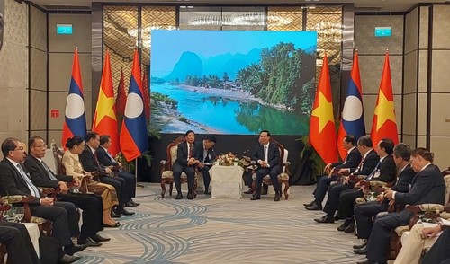Vo Van Thuong rencontre le président du Comité central du Front laotien pour la construction nationale - ảnh 1