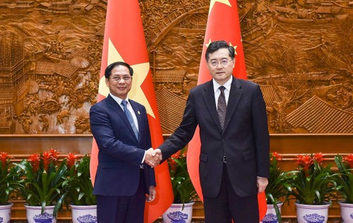 Le Vietnam accorde beaucoup d’importance au développement de son Partenariat stratégique intégral avec la Chine - ảnh 1
