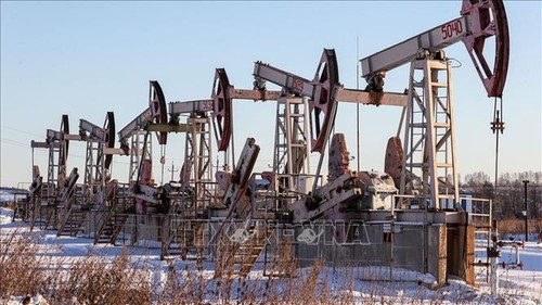 L’Arabie saoudite et la Russie limitent l’offre de pétrole pour faire grimper les prix - ảnh 1