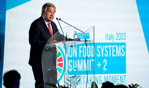 L'ONU appelle à une transformation de notre façon de produire et de consommer la nourriture - ảnh 1