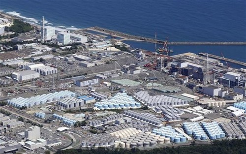 Eaux contaminées de la centrale de Fukushima au Japon: les premiers tests de radioactivité concluants - ảnh 1