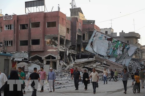 Les présidents égyptien et français appellent à éviter l’escalade à Gaza - ảnh 1