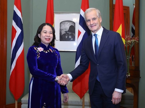Entretien entre Vo Thi Anh Xuân et le Premier ministre norvégien - ảnh 1