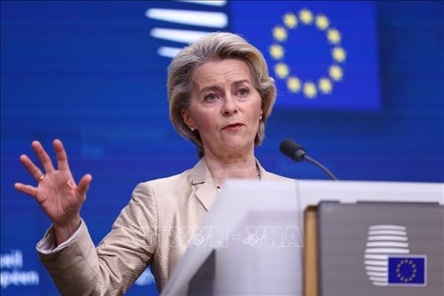 Ursula von der Leyen: l’adhésion de Kiev à l’UE nécessite du temps  - ảnh 1