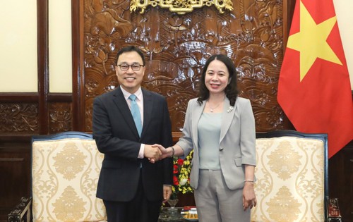 Vo Thi Anh Xuân plaide pour une matérialisation du partenariat stratégique intégral entre le Vietnam et la République de Corée - ảnh 1