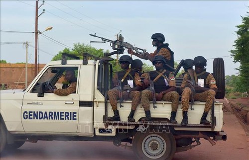 Les pays du Sahel organisent pour la première fois un exercice militaire d'envergure - ảnh 1