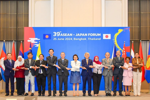 Le Vietnam et le Japon renforcent leur coopération au sein de l'ASEAN - ảnh 1